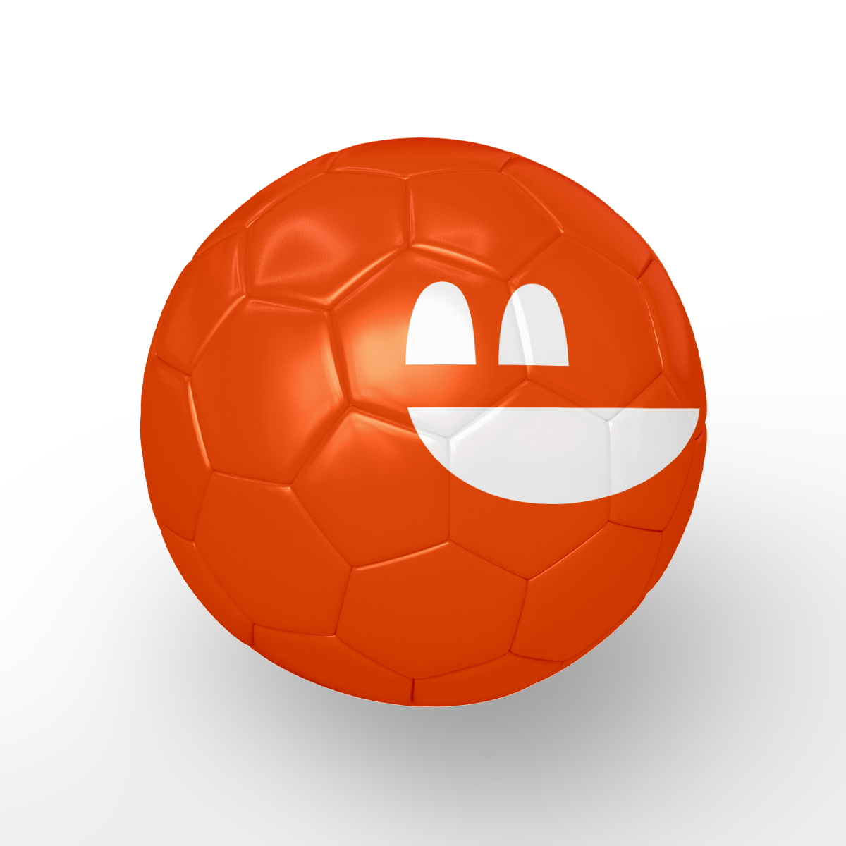 the soccer ball